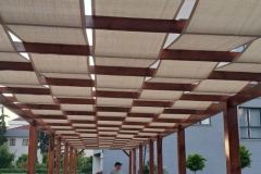 kamelya-guneslik-file-branda.jpg