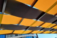 bahce-kamelya-ustu-branda